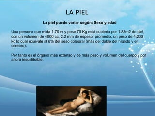 LA PIEL
La piel puede variar según: Sexo y edad
Una persona que mida 1.70 m y pese 70 Kg está cubierta por 1.85m2 de piel,
con un volumen de 4000 cc, 2.2 mm de espesor promedio, un peso de 4,200
kg lo cual equivale al 6% del peso corporal (más del doble del hígado y el
cerebro).
Por tanto es el órgano más extenso y de más peso y volumen del cuerpo y por
ahora insustituible.

 