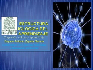 Cognición, cultura y aprendizaje
Dayson Antonio Zapata Ramos
Licenciatura en Ciencias Naturales
y Educación ambiental

 
