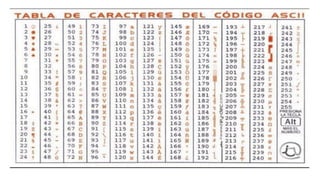 Pascal Ascii Table Estructura básica de pascal | PDF