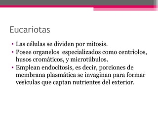 Eucariotas
• Las células se dividen por mitosis.
• Posee organelos especializados como centríolos,
husos cromáticos, y microtúbulos.
• Emplean endocitosis, es decir, porciones de
membrana plasmática se invaginan para formar
vesículas que captan nutrientes del exterior.
 