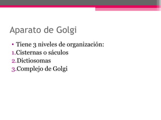 Aparato de Golgi
• Tiene 3 niveles de organización:
1.Cisternas o sáculos
2.Dictiosomas
3.Complejo de Golgi
 
