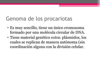 Genoma de los procariotas
• Es muy sencillo, tiene un único cromosoma
formado por una molécula circular de DNA.
• Tiene material genético extra: plásmidos, los
cuales se replican de manera autónoma (sin
coordinación alguna con la división celular.
 