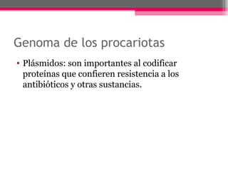 Genoma de los procariotas
• Plásmidos: son importantes al codificar
proteínas que confieren resistencia a los
antibióticos y otras sustancias.
 
