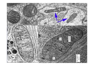 JAVIER SANCHEZ PIRIZ   28
 