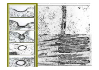 JAVIER SANCHEZ PIRIZ   9
 