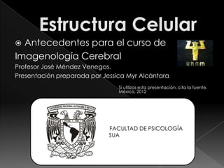  Antecedentes para el curso de
Imagenología Cerebral
Profesor José Méndez Venegas.
Presentación preparada por Jessica Myr Alcántara
                                Si utilizas esta presentación, cita la fuente.
                                México, 2012




                             FACULTAD DE PSICOLOGÍA
                             SUA
 