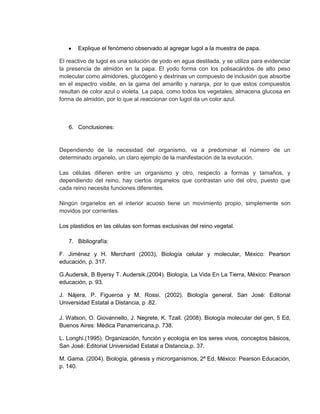 Explique el fenómeno observado al agregar lugol a la muestra de papa.
El reactivo de lugol es una solución de yodo en agua destilada, y se utiliza para evidenciar
la presencia de almidón en la papa. El yodo forma con los polisacáridos de alto peso
molecular como almidones, glucógeno y dextrinas un compuesto de inclusión que absorbe
en el espectro visible, en la gama del amarillo y naranja, por lo que estos compuestos
resultan de color azul o violeta. La papa, como todos los vegetales, almacena glucosa en
forma de almidón, por lo que al reaccionar con lugol da un color azul.
6. Conclusiones:
Dependiendo de la necesidad del organismo, va a predominar el número de un
determinado organelo, un claro ejemplo de la manifestación de la evolución.
Las células difieren entre un organismo y otro, respecto a formas y tamaños, y
dependiendo del reino, hay ciertos organelos que contrastan uno del otro, puesto que
cada reino necesita funciones diferentes.
Ningún organelos en el interior acuoso tiene un movimiento propio, simplemente son
movidos por corrientes.
Los plastidios en las células son formas exclusivas del reino vegetal.
7. Bibliografía:
F. Jiménez y H. Merchant (2003), Biología celular y molecular, México: Pearson
educación, p. 317.
G.Audersik, B Byersy T. Audersik.(2004). Biología, La Vida En La Tierra, México: Pearson
educación, p. 93.
J. Nájera, P. Figueroa y M. Rossi. (2002). Biología general, San José: Editorial
Universidad Estatal a Distancia, p .82.
J. Watson, O. Giovannello, J. Negrete, K. Tzall. (2008). Biología molecular del gen, 5 Ed,
Buenos Aires: Médica Panamericana,p. 738.
L. Longhi.(1995). Organización, función y ecología en los seres vivos, conceptos básicos,
San José: Editorial Universidad Estatal a Distancia,p. 37.
M. Gama. (2004). Biología, génesis y microrganismos, 2ª Ed, México: Pearson Educación,
p. 140.
 