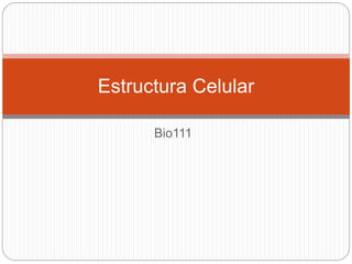 Bio111
Estructura Celular
 