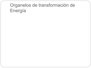 Organelos de transformación de
Energía
 