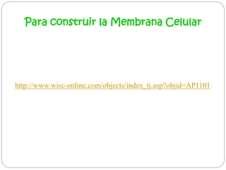 http://www.wisc-online.com/objects/index_tj.asp?objid=AP1101
Para construir la Membrana Celular
 