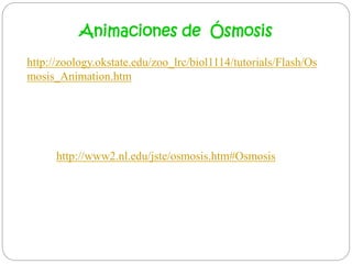 http://zoology.okstate.edu/zoo_lrc/biol1114/tutorials/Flash/Os
mosis_Animation.htm
Animaciones de Ósmosis
http://www2.nl.edu/jste/osmosis.htm#Osmosis
 