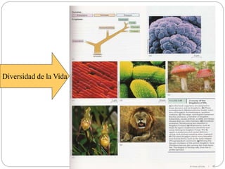 Diversidad de la Vida
 