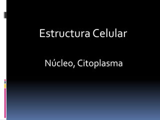  Estructura Celular Núcleo, Citoplasma 