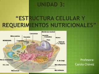 Profesora:
Carola Chávez
 
