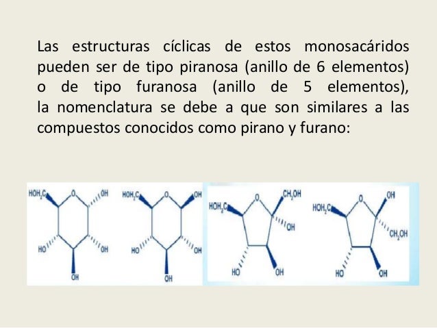 Estructura ciclica de los azucares.