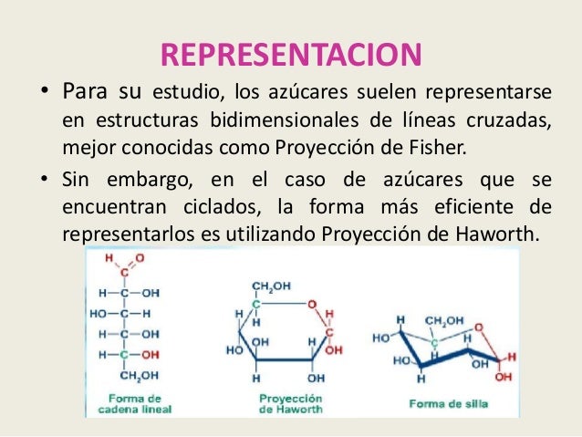 Estructura ciclica de los azucares.