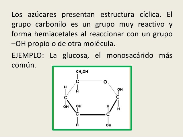 Estructura ciclica de los azucares.