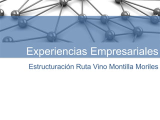 Experiencias Empresariales 
Estructuración Ruta Vino Montilla Moriles 
Desarrollo de Planes de Cooperación Empresarial en el Sector Agroalimentario 
en la Provincia de Córdoba 
 