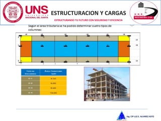 ESTRUCTURACION Y CARGAS
Ing. CIP LUZ E. ALVAREZ ASTO
ESTRUCTURANDO TU FUTURO CON SEGURIDAD Y EFICIENCIA
 