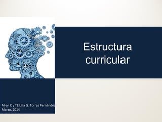 Estructura
curricular
M en C y TE Lilia G. Torres Fernández
Marzo, 2014
 