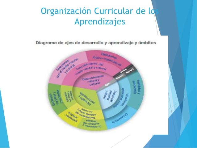 Estructura curricular para la educacion inicial