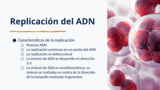 Replicación del ADN
● Características de la replicación
○ Proceso ADN.
○ La replicación comienza en un punto del ADN
○ La replicación es bidireccional
○ La síntesis de ADN se desarrolla en dirección
5-3
○ La síntesis de ADN es semidiscontinua: su
síntesis se realizaba en contra de la dirección
de la horquilla mediante fragmentos
 
