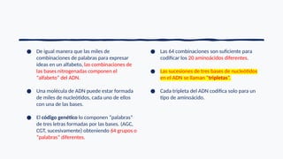 ● De igual manera que las miles de
combinaciones de palabras para expresar
ideas en un alfabeto, las combinaciones de
las bases nitrogenadas componen el
“alfabeto” del ADN.
● Una molécula de ADN puede estar formada
de miles de nucleótidos, cada uno de ellos
con una de las bases.
● El código genético lo componen “palabras”
de tres letras formadas por las bases. (AGC,
CGT, sucesivamente) obteniendo 64 grupos o
“palabras” diferentes.
● Las 64 combinaciones son suficiente para
codificar los 20 aminoácidos diferentes.
● Las sucesiones de tres bases de nucleótidos
en el ADN se llaman “tripletas”.
● Cada tripleta del ADN codifica solo para un
tipo de aminoácido.
 