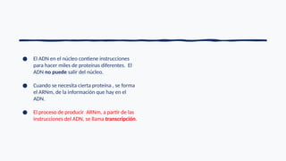 ● El ADN en el núcleo contiene instrucciones
para hacer miles de proteínas diferentes. El
ADN no puede salir del núcleo.
● Cuando se necesita cierta proteína , se forma
el ARNm, de la información que hay en el
ADN.
● El proceso de producir ARNm, a partir de las
instrucciones del ADN, se llama transcripción.
 
