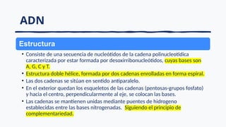 ADN
Estructura
• Consiste de una secuencia de nucleótidos de la cadena polinucleotidica
caracterizada por estar formada por desoxirribonucleótidos, cuyas bases son
A, G, C y T.
• Estructura doble hélice, formada por dos cadenas enrolladas en forma espiral.
• Las dos cadenas se sitúan en sentido antiparalelo.
• En el exterior quedan los esqueletos de las cadenas (pentosas-grupos fosfato)
y hacia el centro, perpendicularmente al eje, se colocan las bases.
• Las cadenas se mantienen unidas mediante puentes de hidrogeno
establecidas entre las bases nitrogenadas. Siguiendo el principio de
complementariedad.
 