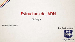 Estructura del ADN
Biología
Módulo: Bloque I
1 ro Cuatrimestre
 