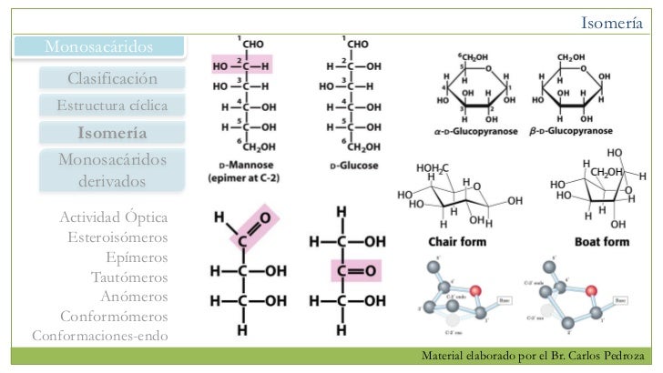 Estructura de Carbohidratos