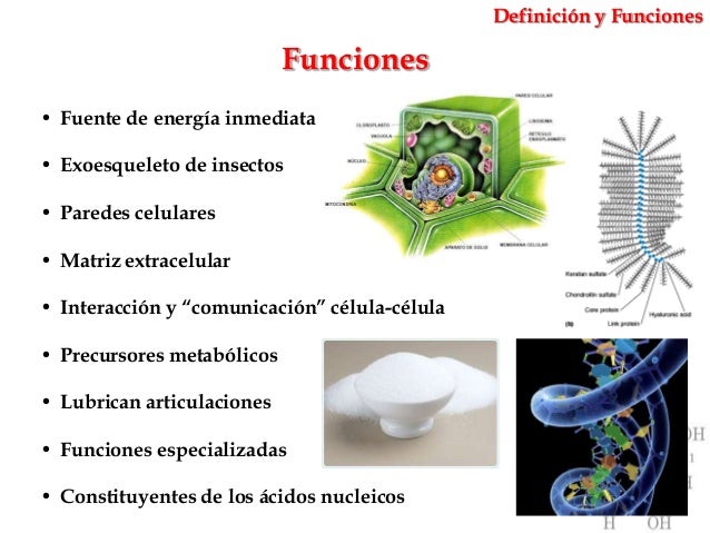 presentacion en power point