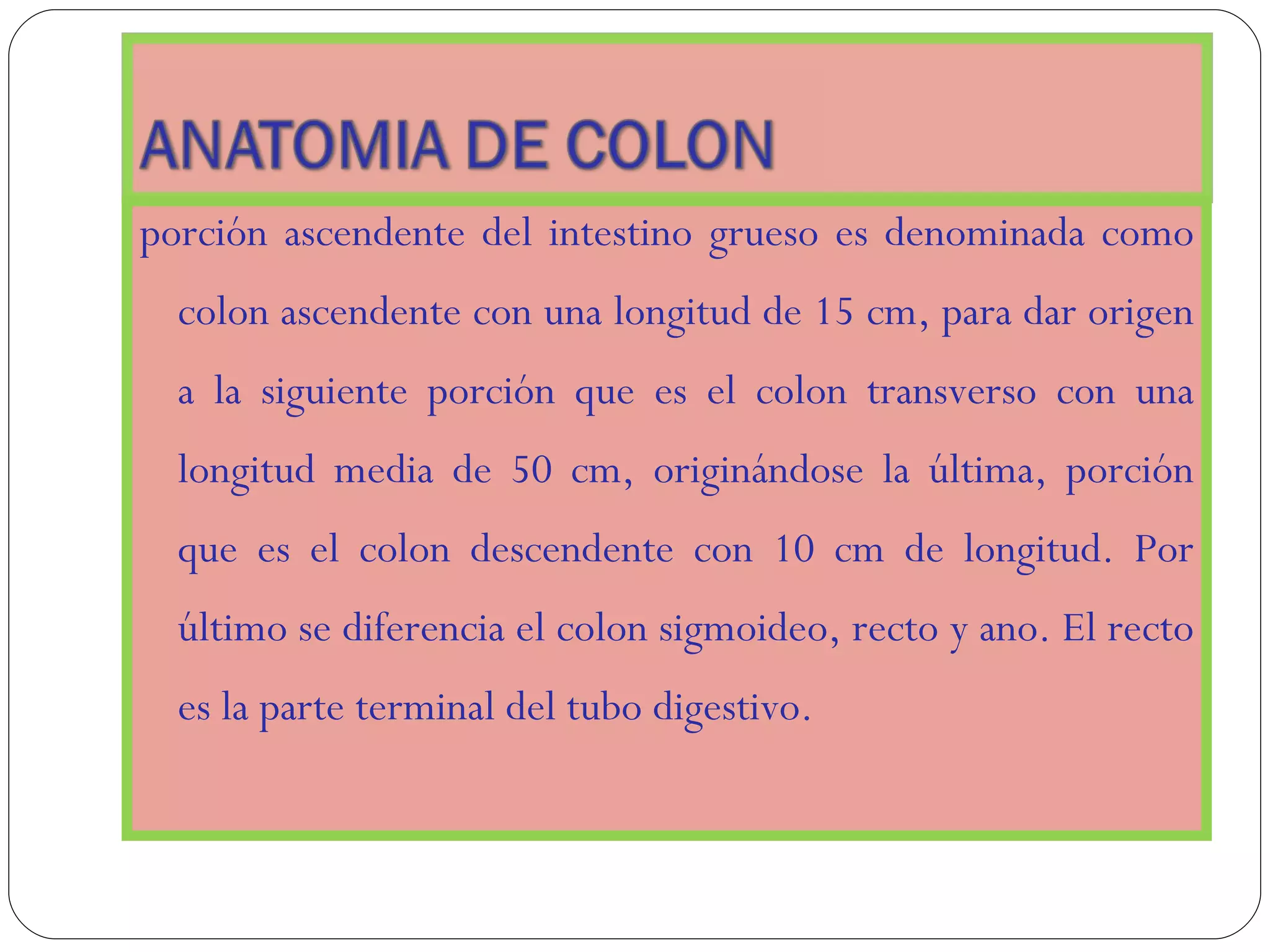 Estructura de colon | PPT