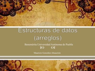 
Mauricio González Ahuactzin
Benemérita Universidad Autónoma de Puebla
 