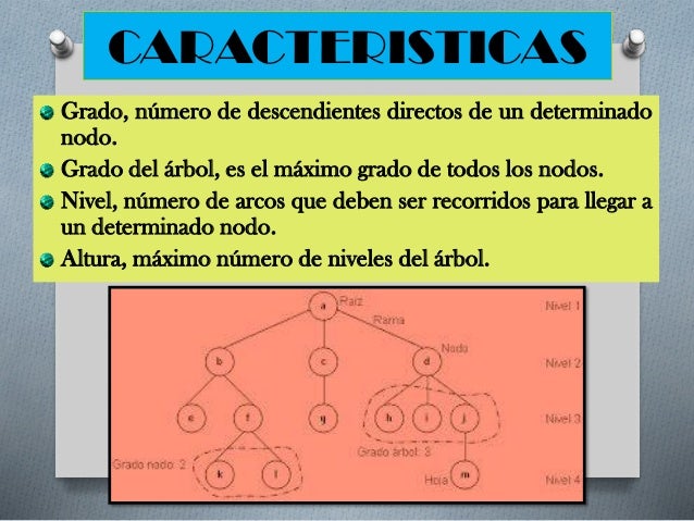 Estructura de Datos - árboles y grafos