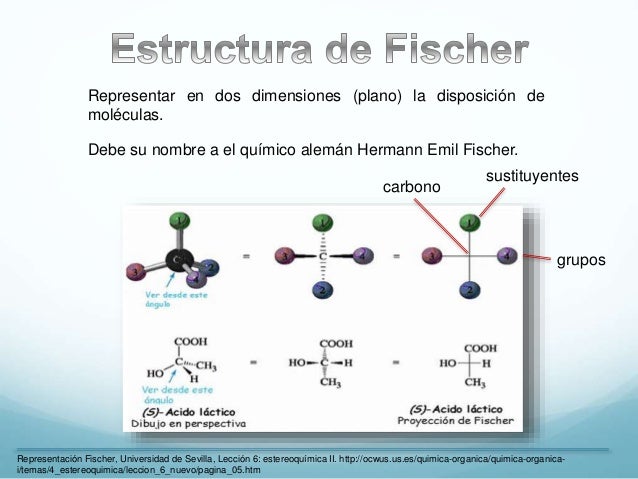 Estructura De Fischer De La Ribosa