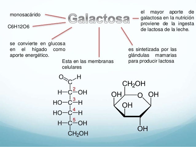 Estructura de fisher