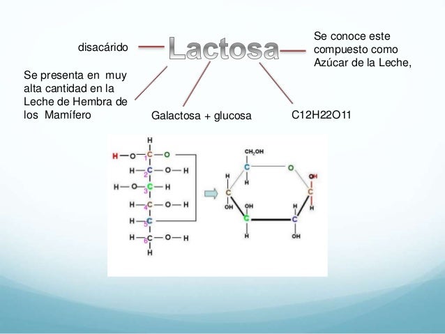 Estructura de fisher
