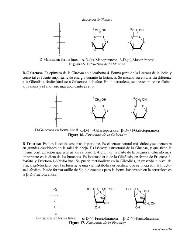 Estructura de los Glúcidos. Estructura de los Glúcidos.