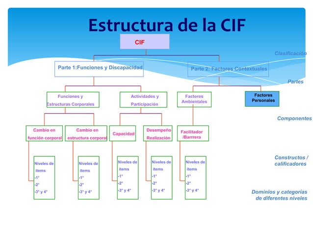 Componente Cif Estructura de la cif | PPTX
