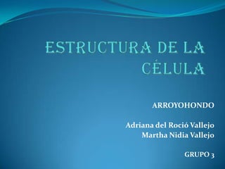 ARROYOHONDO

Adriana del Roció Vallejo
    Martha Nidia Vallejo

                GRUPO 3
 