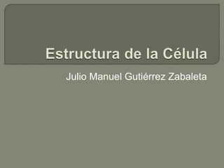 Julio Manuel Gutiérrez Zabaleta
 