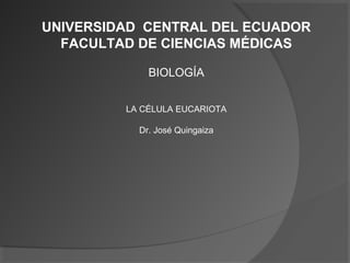 UNIVERSIDAD CENTRAL DEL ECUADOR
  FACULTAD DE CIENCIAS MÉDICAS

             BIOLOGÍA


         LA CÉLULA EUCARIOTA

           Dr. José Quingaiza
 