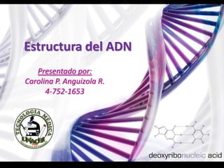Estructura del ADN
   Presentado por:
Carolina P. Anguizola R.
      4-752-1653
 