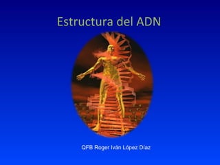 Estructura del ADN QFB Roger Iván López Díaz 
