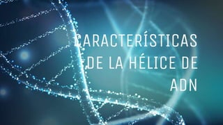 cARACTERÍSTICAS
DE LA HÉLICE DE
ADN
 