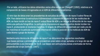 -Por un lado, utilizaron los datos obtenidos varios años antes por Chargaff (1950), relativos a la
composición de bases nitrogenadas en el ADN de diferentes organismos.
-El otro tipo de datos eran los procedentes de estudios de difracción de rayos X sobre fibras de
ADN. Para determinar la estructura tridimensional o disposición espacial de las moléculas de
ADN, se hace incidir un haz de rayos X sobre fibras de ADN y se recoge la difracción de los rayos
sobre una película fotográfica. La película se impresiona en aquellos puntos donde inciden los
rayos X, produciendo al revelarse manchas. El ángulo de difracción presentado por cada una de
las manchas en la película suministra información sobre la posición en la molécula de ADN de
cada átomo o grupo de átomos.
Mediante esta técnica de difracción de rayos X se obtuvieron los siguientes resultados:
-Las bases púricas y pirimidínicas se encuentran unas sobre otras, apiladas a lo largo del eje del
polinucleótido a una distancia de 3,4 Å. Las bases son estructuras planas orientadas de forma
perpendicular al eje (Astbury, 1947).
 