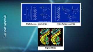 lAS
NUEVAS
VARIACIONES
TEST 1 TEST 2 TEST 3 TEST 4 TEST 5
 