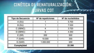 CREDITS: This presentation template was created by Slidesgo,
including icons by Flaticon, and infographics & images by Freepik.
Please keep this slide for attribution.
CINÉTICA DE RENATURALIZACIÓN:
CURVAS CoT
 