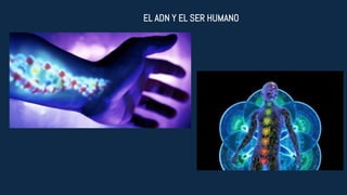 EL ADN Y EL SER HUMANO
 